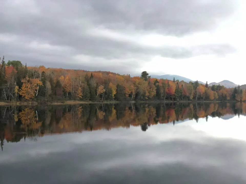 Autumn trees and low cloud reflected on still North Country water
